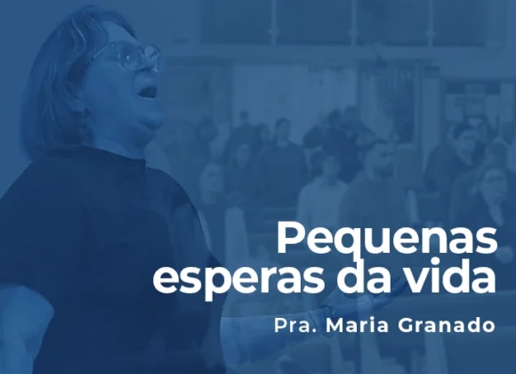 Pequenas esperas da vida Pequenas esperas da vida
